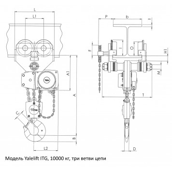 Таль ручная Yalelift ITG CR 10000 (10 т) на крантележке с цепным приводом (антикор) Таль ручная Yalelift ITG CR 10000 (10 т) на крантележке с цепным приводом (антикор)-2